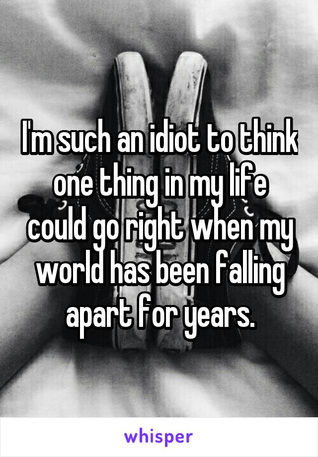 I'm such an idiot to think one thing in my life could go right when my world has been falling apart for years.