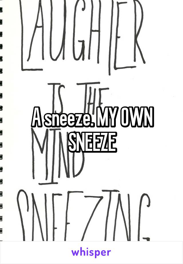A sneeze. MY OWN SNEEZE