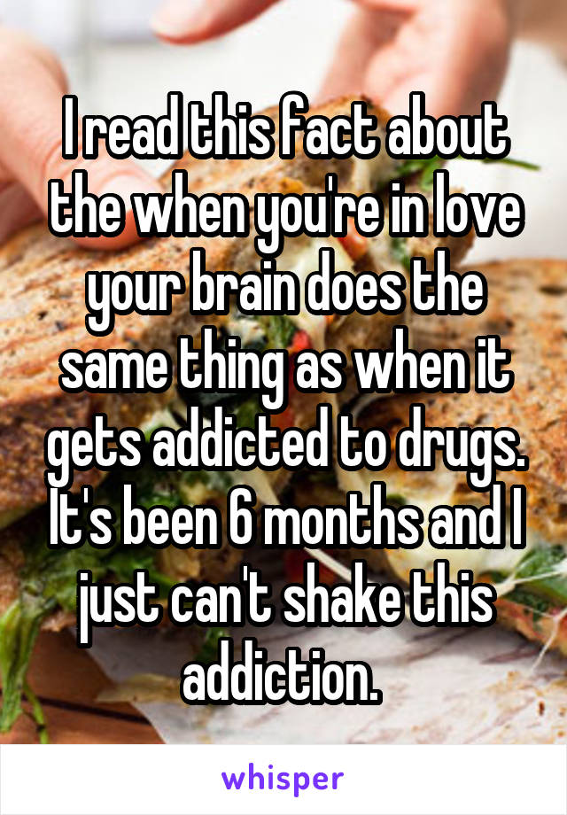 I read this fact about the when you're in love your brain does the same thing as when it gets addicted to drugs. It's been 6 months and I just can't shake this addiction. 