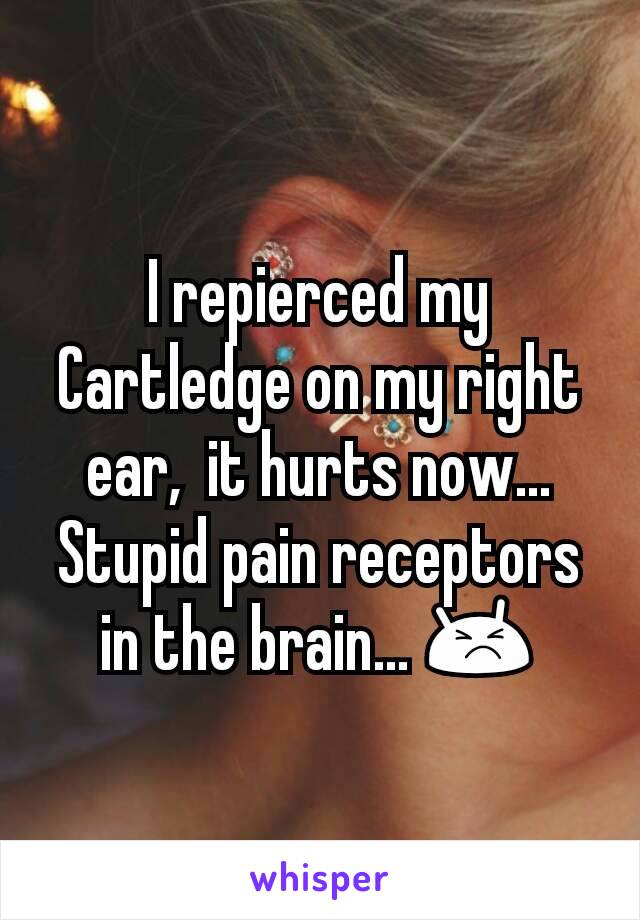 I repierced my Cartledge on my right ear,  it hurts now...
Stupid pain receptors in the brain... 😣