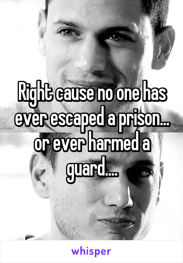 Right cause no one has ever escaped a prison... or ever harmed a guard....