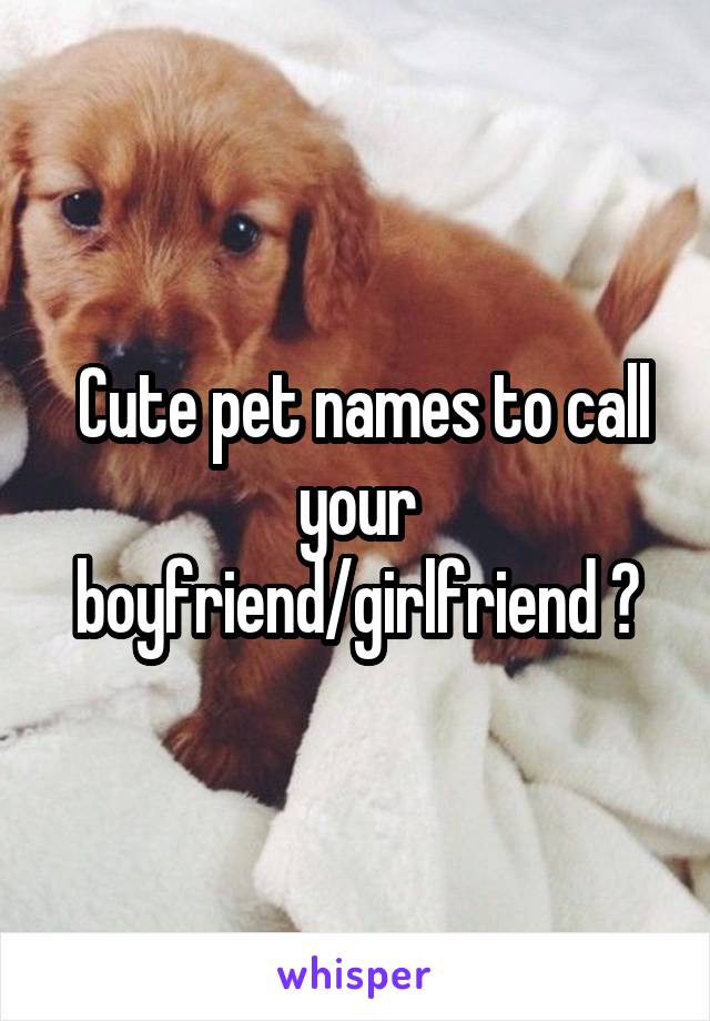  Cute pet names to call your boyfriend/girlfriend ?