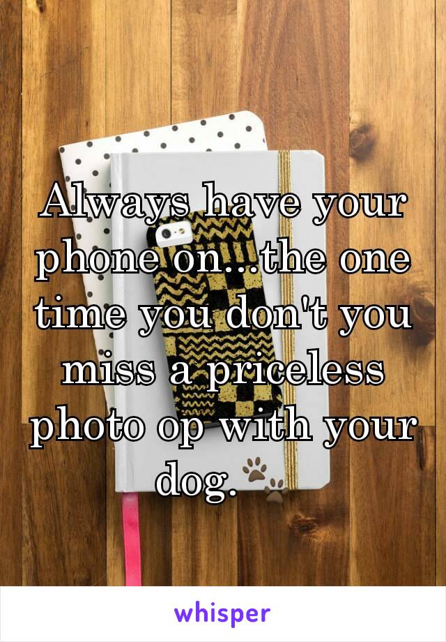 Always have your phone on...the one time you don't you miss a priceless photo op with your dog.🐾