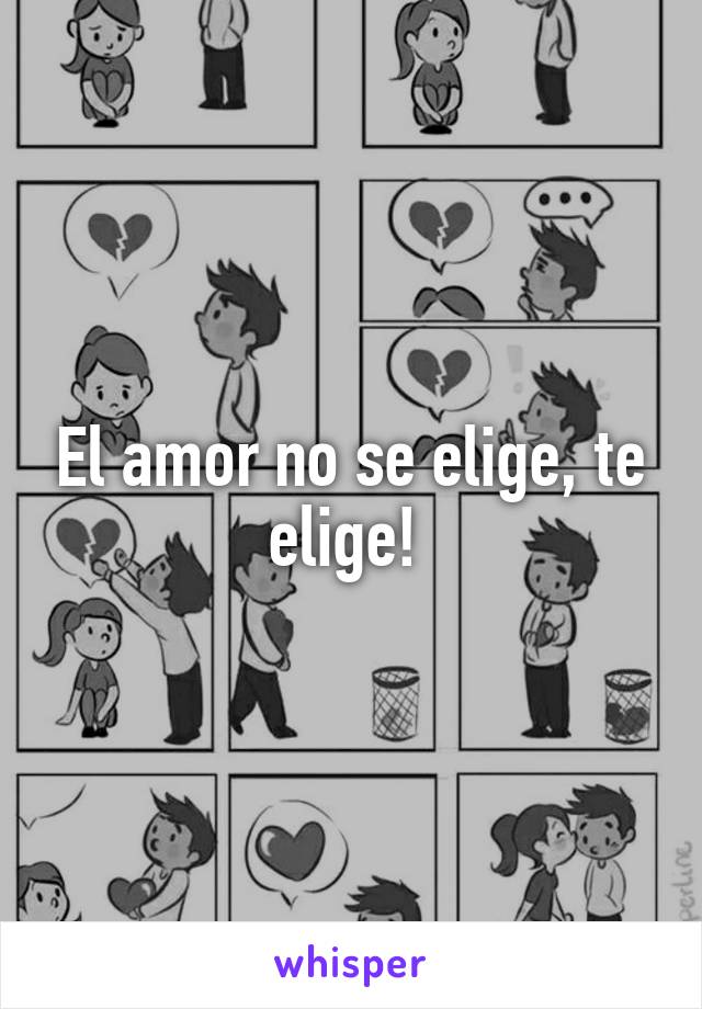 El amor no se elige, te elige! 