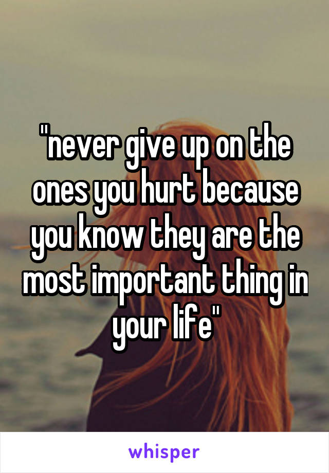 "never give up on the ones you hurt because you know they are the most important thing in your life"