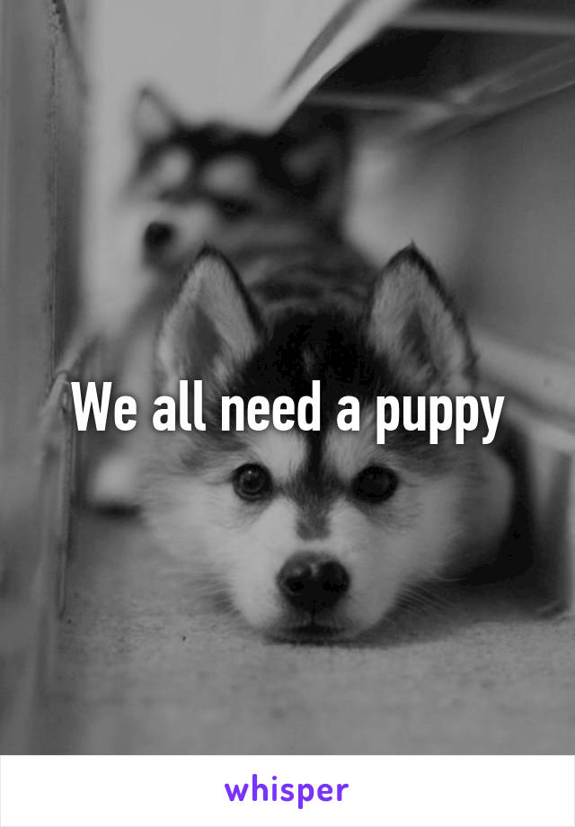 We all need a puppy