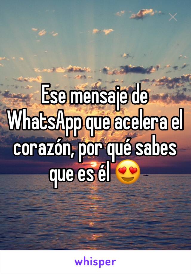 Ese mensaje de WhatsApp que acelera el corazón, por qué sabes que es él 😍