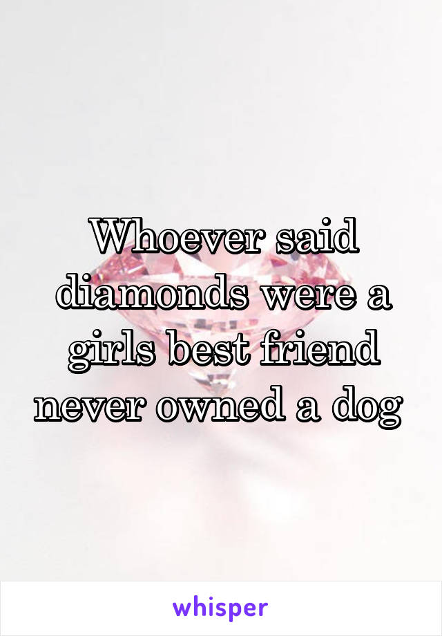 Whoever said diamonds were a girls best friend never owned a dog 