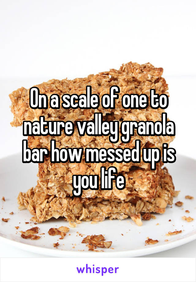 On a scale of one to nature valley granola bar how messed up is you life