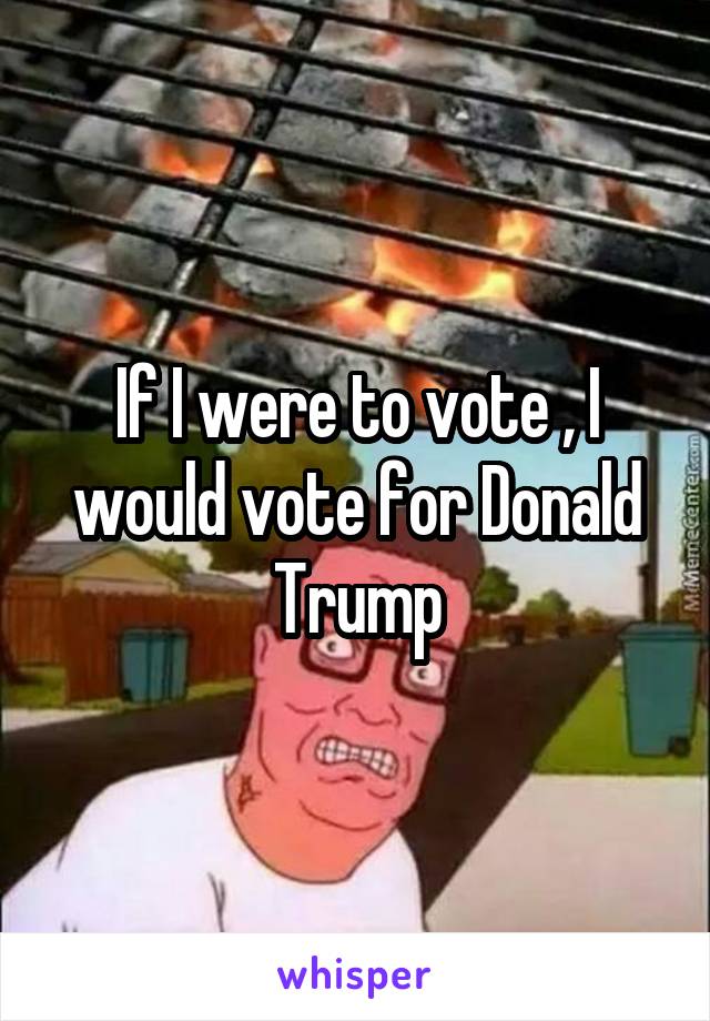 If I were to vote , I would vote for Donald Trump