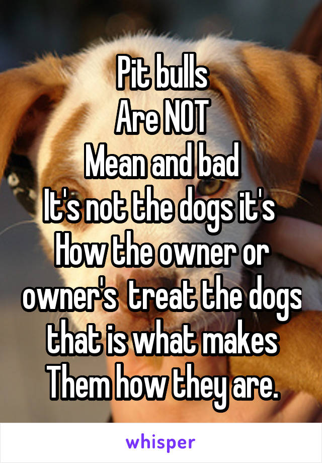 Pit bulls
Are NOT
Mean and bad
It's not the dogs it's 
How the owner or owner's  treat the dogs that is what makes Them how they are.