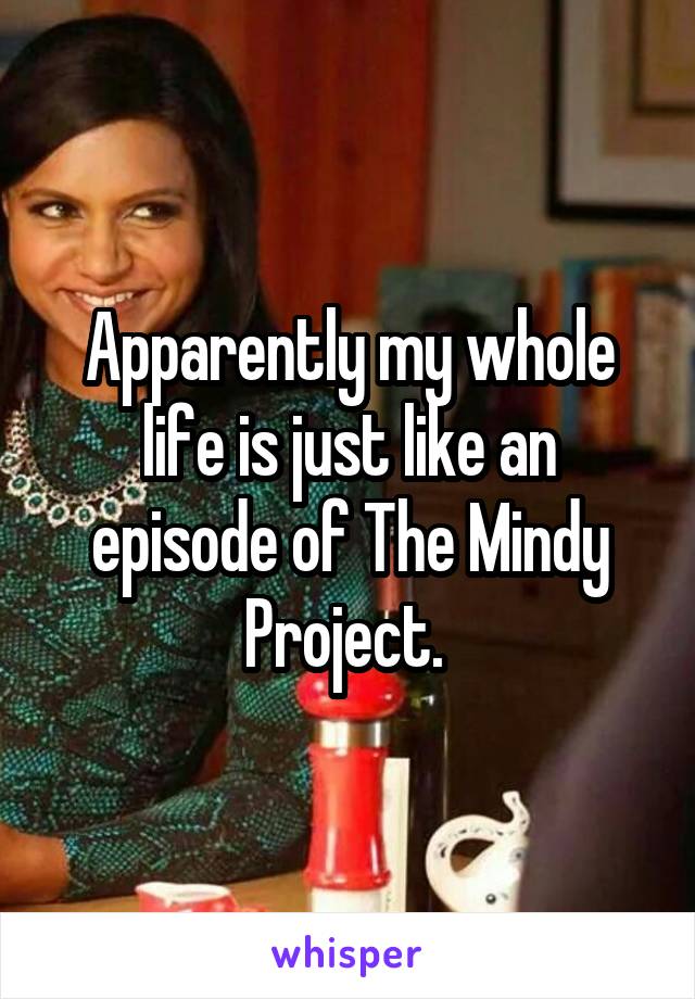 Apparently my whole life is just like an episode of The Mindy Project. 