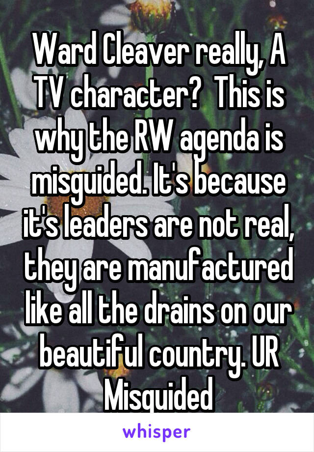 Ward Cleaver really, A TV character?  This is why the RW agenda is misguided. It's because it's leaders are not real, they are manufactured like all the drains on our beautiful country. UR Misguided