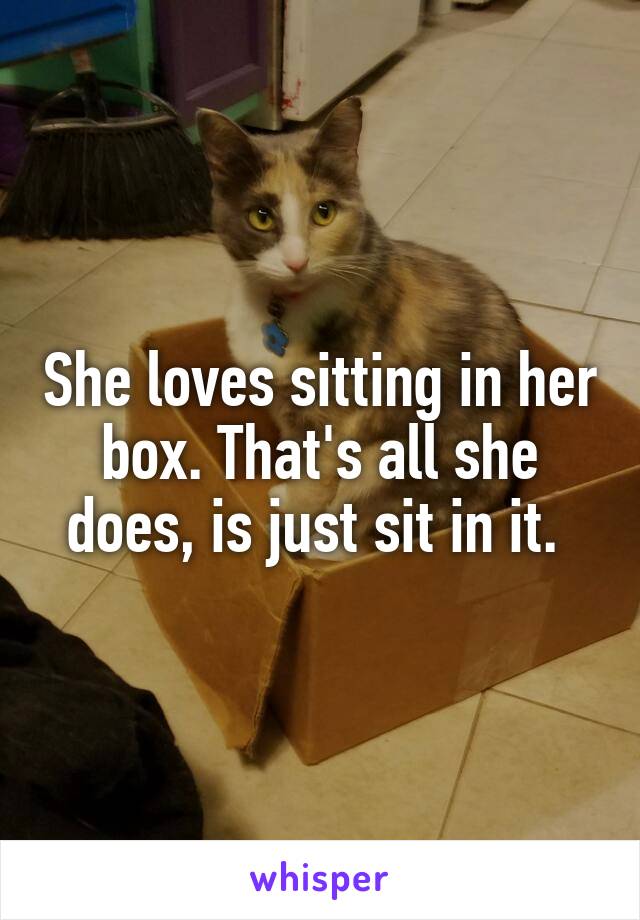 She loves sitting in her box. That's all she does, is just sit in it. 