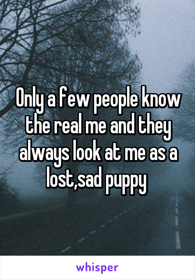 Only a few people know the real me and they always look at me as a lost,sad puppy 