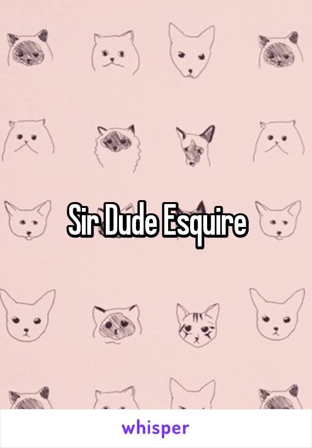 Sir Dude Esquire