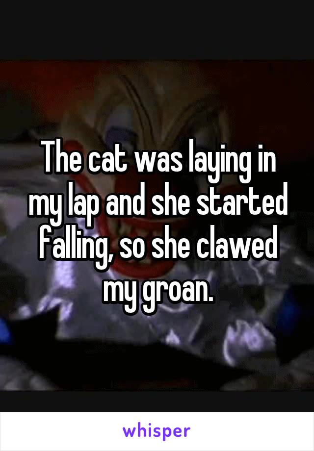 The cat was laying in my lap and she started falling, so she clawed my groan.