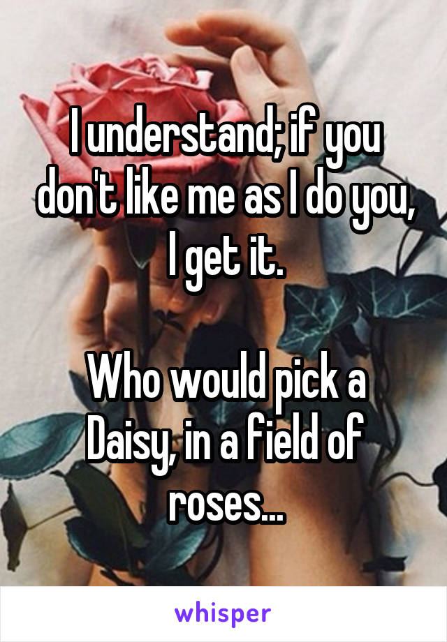 I understand; if you don't like me as I do you, I get it.

Who would pick a Daisy, in a field of roses...