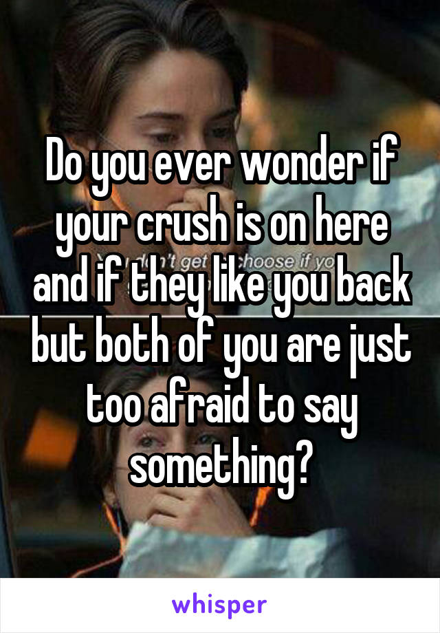 Do you ever wonder if your crush is on here and if they like you back but both of you are just too afraid to say something?