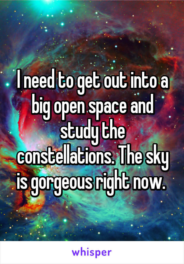 I need to get out into a big open space and study the constellations. The sky is gorgeous right now. 