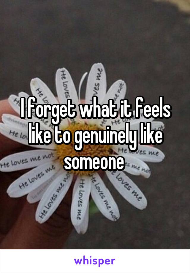 I forget what it feels like to genuinely like someone 