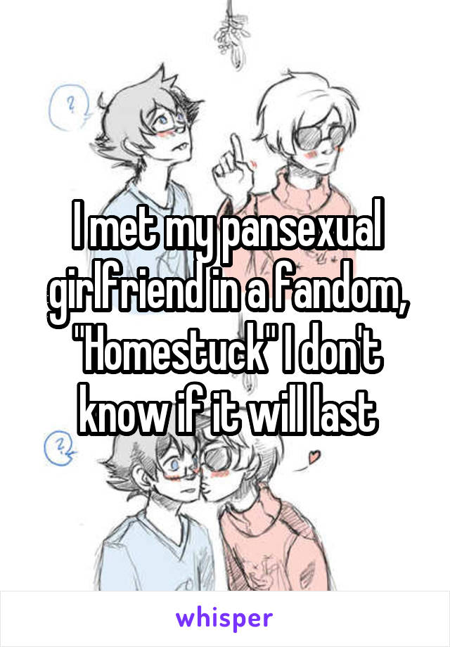 I met my pansexual girlfriend in a fandom, "Homestuck" I don't know if it will last