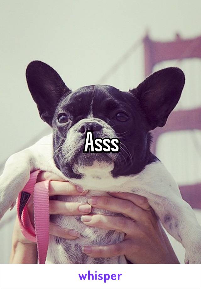 Asss