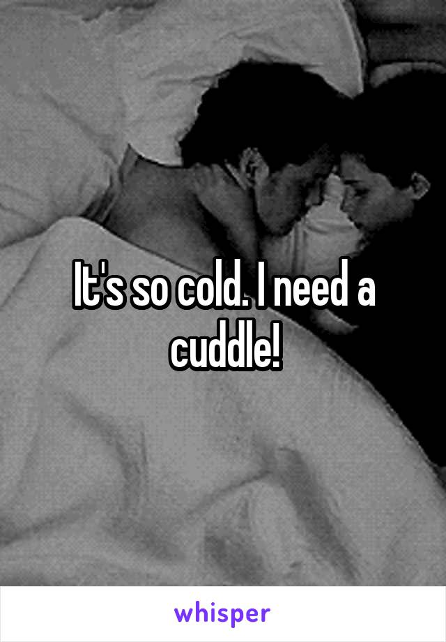 It's so cold. I need a cuddle!