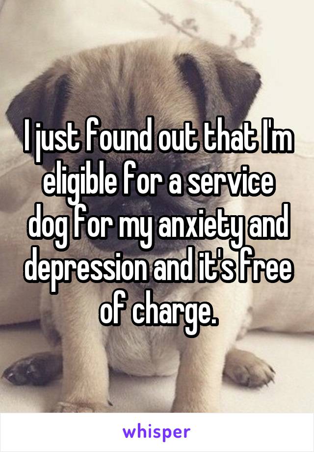 I just found out that I'm eligible for a service dog for my anxiety and depression and it's free of charge.