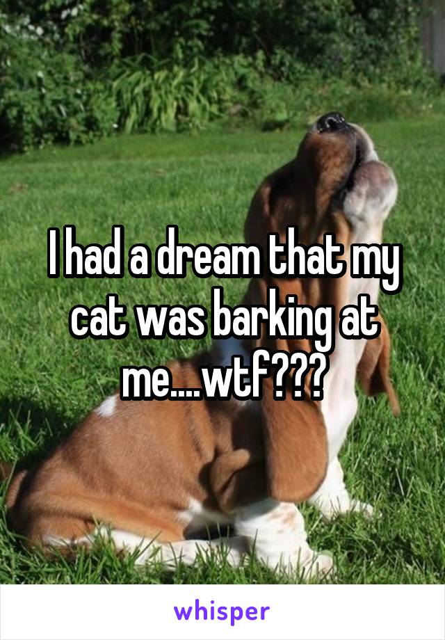 I had a dream that my cat was barking at me....wtf???