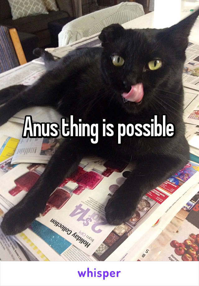 Anus thing is possible 
