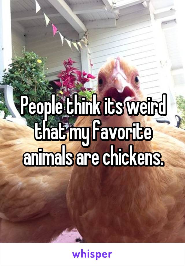 People think its weird that my favorite animals are chickens.