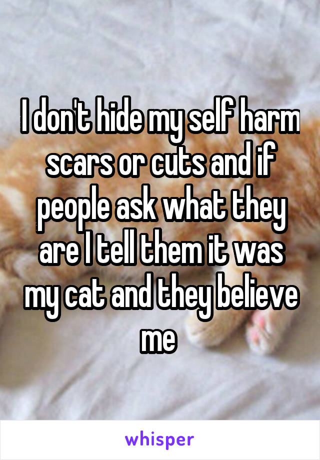 I don't hide my self harm scars or cuts and if people ask what they are I tell them it was my cat and they believe me 