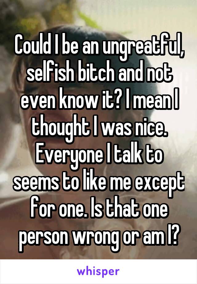 Could I be an ungreatful, selfish bitch and not even know it? I mean I thought I was nice. Everyone I talk to seems to like me except for one. Is that one person wrong or am I?