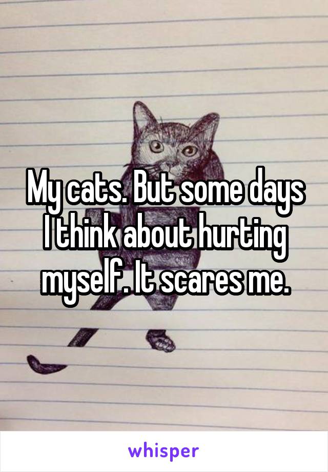 My cats. But some days I think about hurting myself. It scares me.