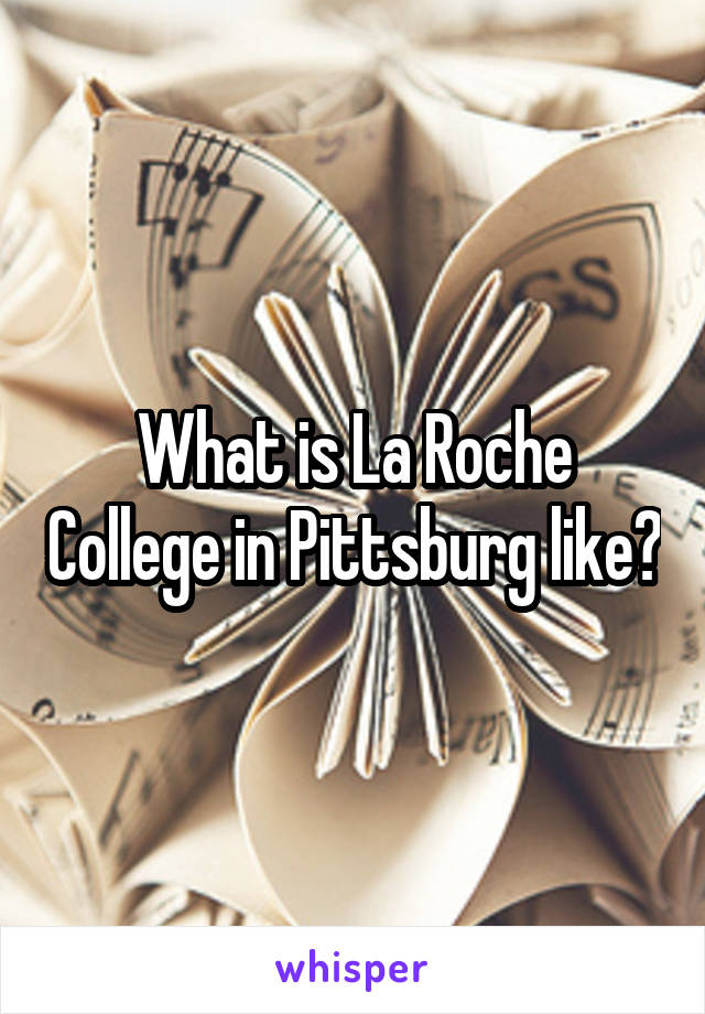 What is La Roche College in Pittsburg like?