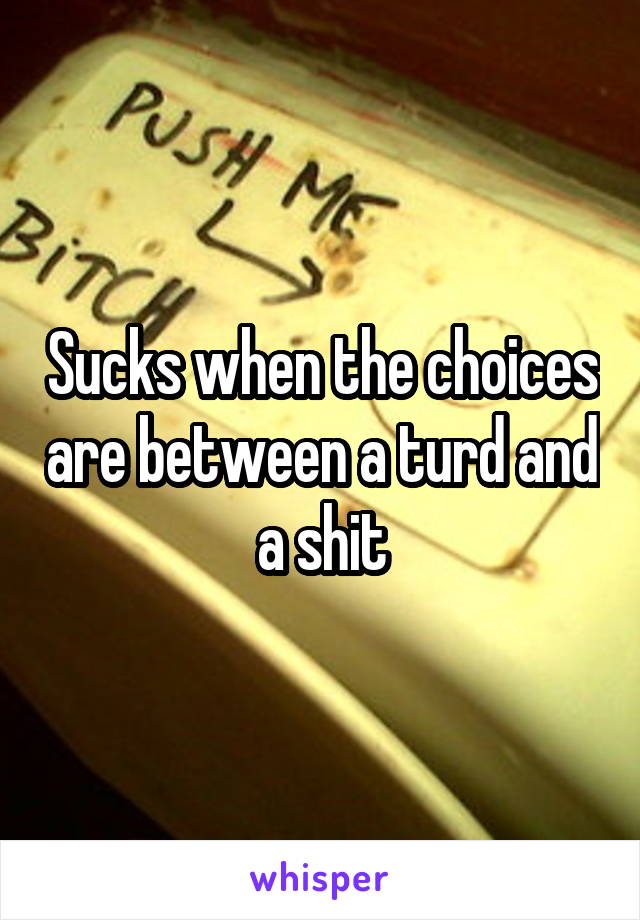 Sucks when the choices are between a turd and a shit