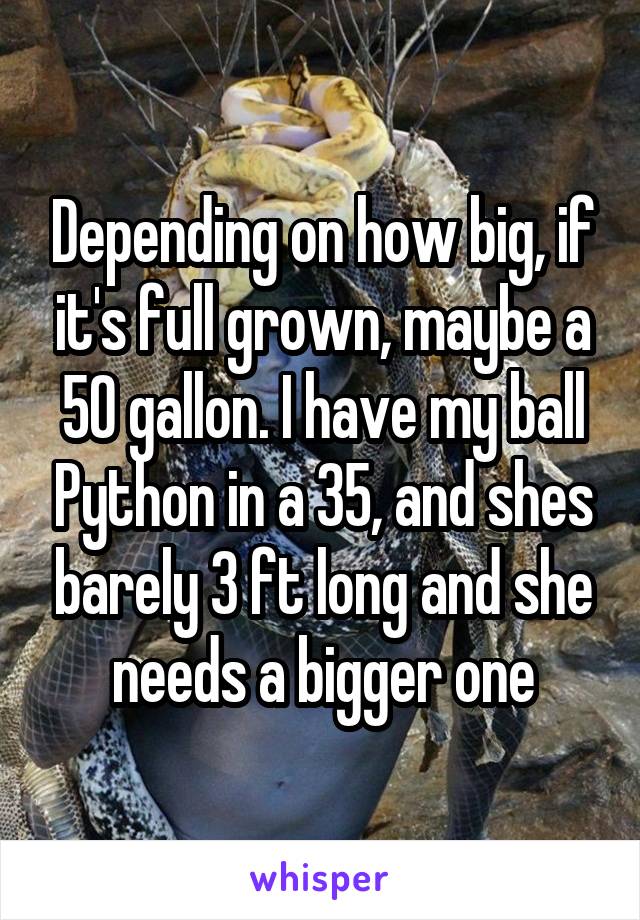 Depending on how big, if it's full grown, maybe a 50 gallon. I have my ball Python in a 35, and shes barely 3 ft long and she needs a bigger one
