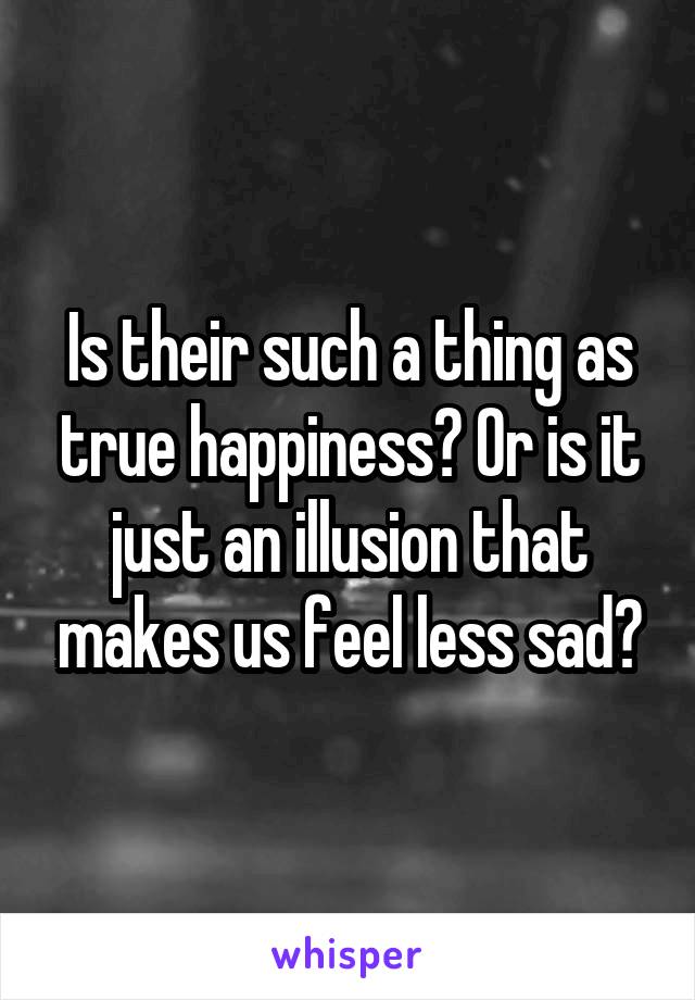 Is their such a thing as true happiness? Or is it just an illusion that makes us feel less sad?