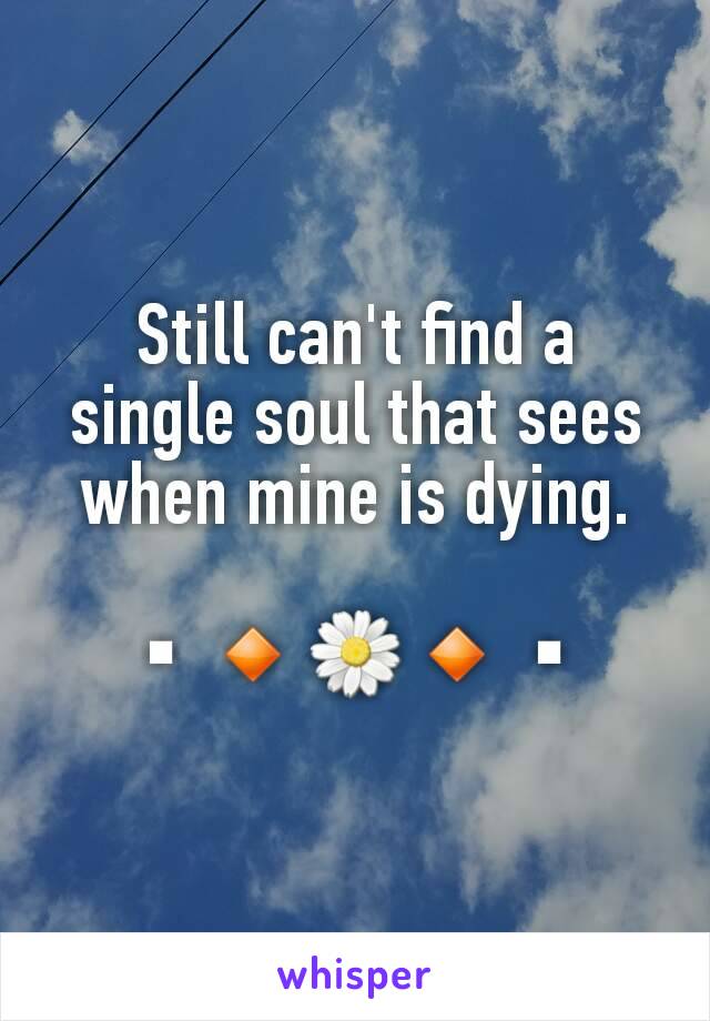 Still can't find a single soul that sees when mine is dying.

▪🔸🌼🔸▪