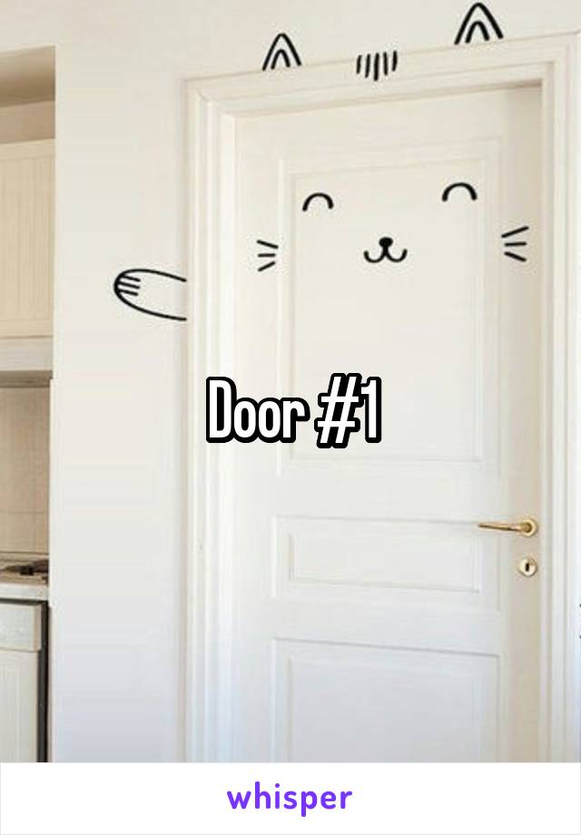 Door #1