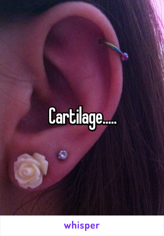 Cartilage.....