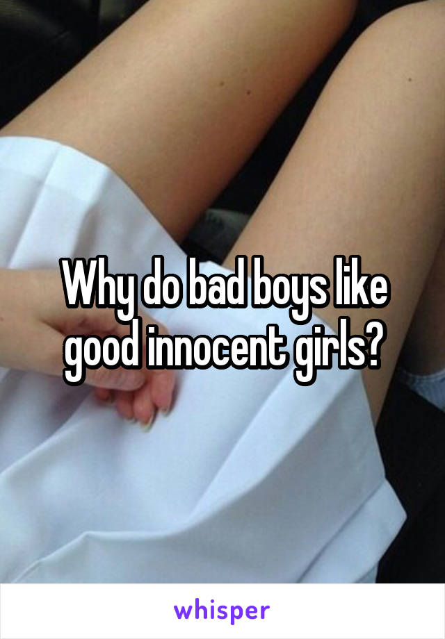 Why do bad boys like good innocent girls?