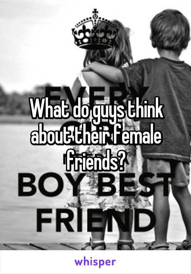 What do guys think about their female friends?