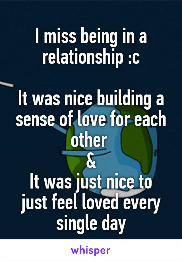 I miss being in a relationship :c

It was nice building a sense of love for each other 
&
It was just nice to just feel loved every single day