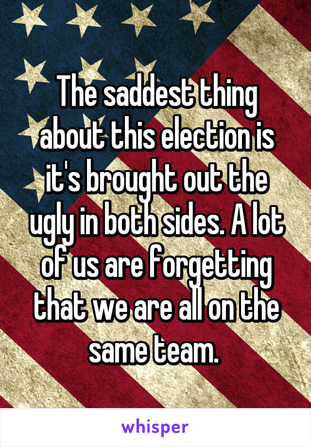 The saddest thing about this election is it's brought out the ugly in both sides. A lot of us are forgetting that we are all on the same team. 