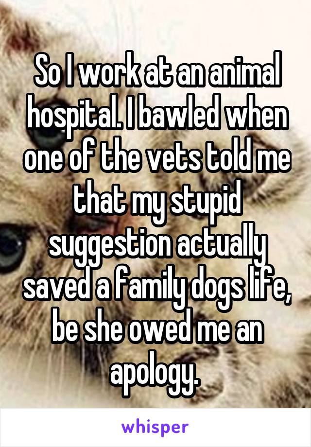 So I work at an animal hospital. I bawled when one of the vets told me that my stupid suggestion actually saved a family dogs life, be she owed me an apology. 