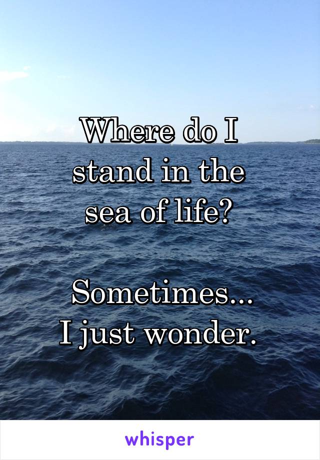 Where do I 
stand in the 
sea of life? 

Sometimes...
I just wonder. 