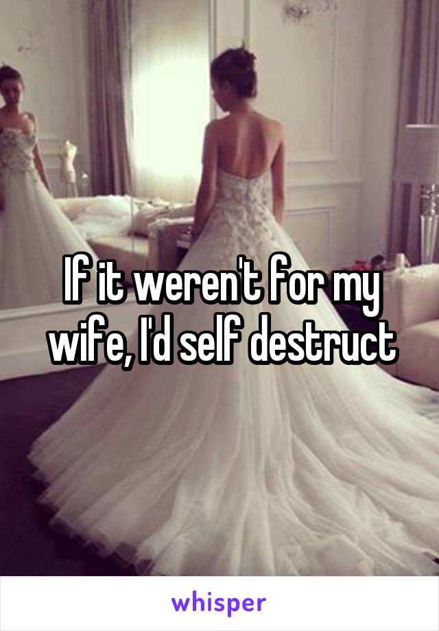 If it weren't for my wife, I'd self destruct