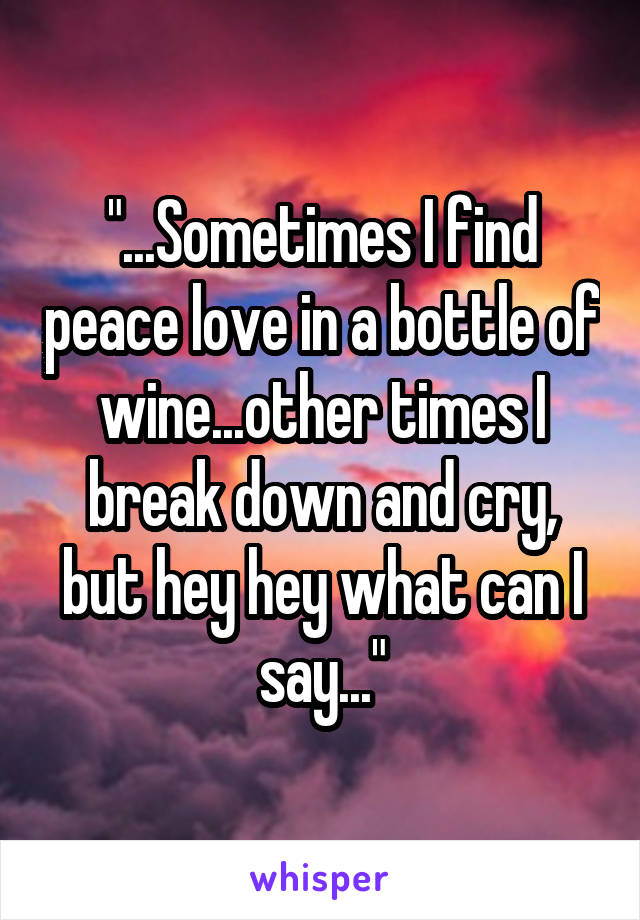 "...Sometimes I find peace love in a bottle of wine...other times I break down and cry, but hey hey what can I say..."